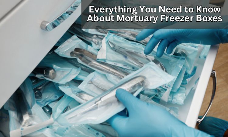 Everything You Need To Know About Mortuary Freezer Boxes?